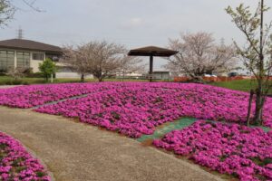弥富市・１４三ツ又公園